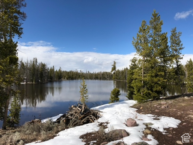 2840  MONVISO TRL Kamas, UT 84036