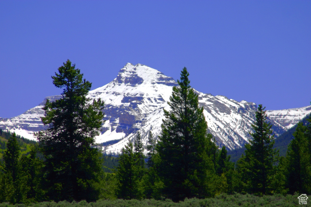 2840  MONVISO TRL Kamas, UT 84036