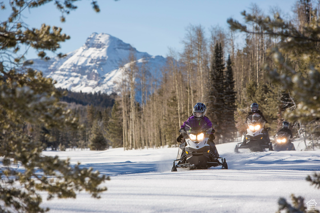 2840  MONVISO TRL Kamas, UT 84036