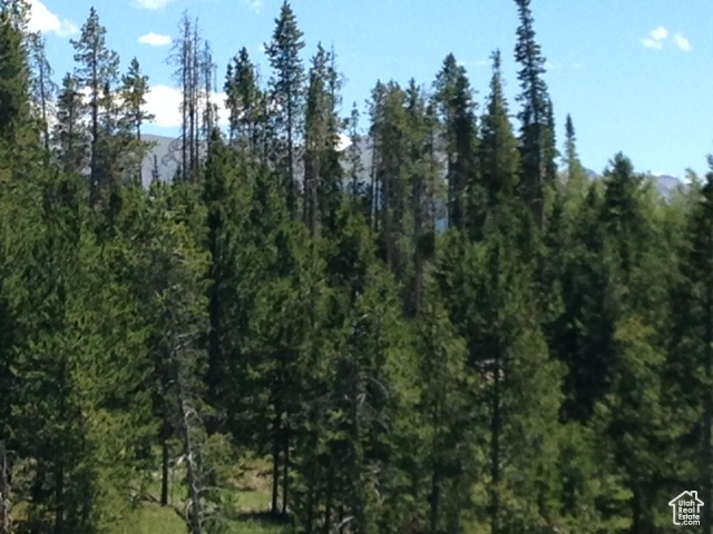 2840  MONVISO TRL Kamas, UT 84036