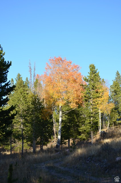 2840  MONVISO TRL Kamas, UT 84036