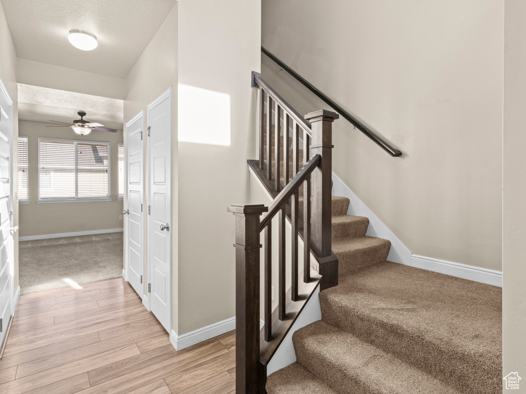 Photo 3 for MLS #2104713 at 14313 S Meadow Rose Dr