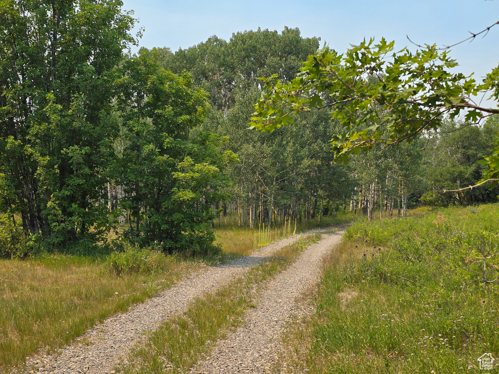 Photo 25 for MLS #2104722 at 725 E Wolf Hollow Rd