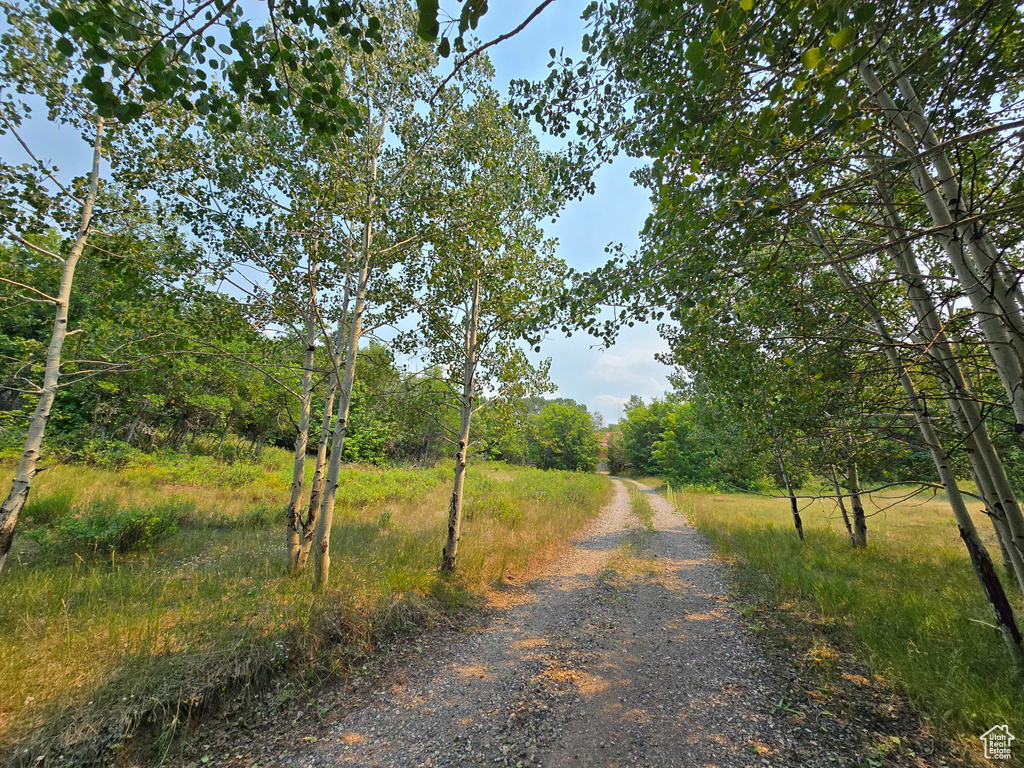 Photo 4 for MLS #2104722 at 725 E Wolf Hollow Rd
