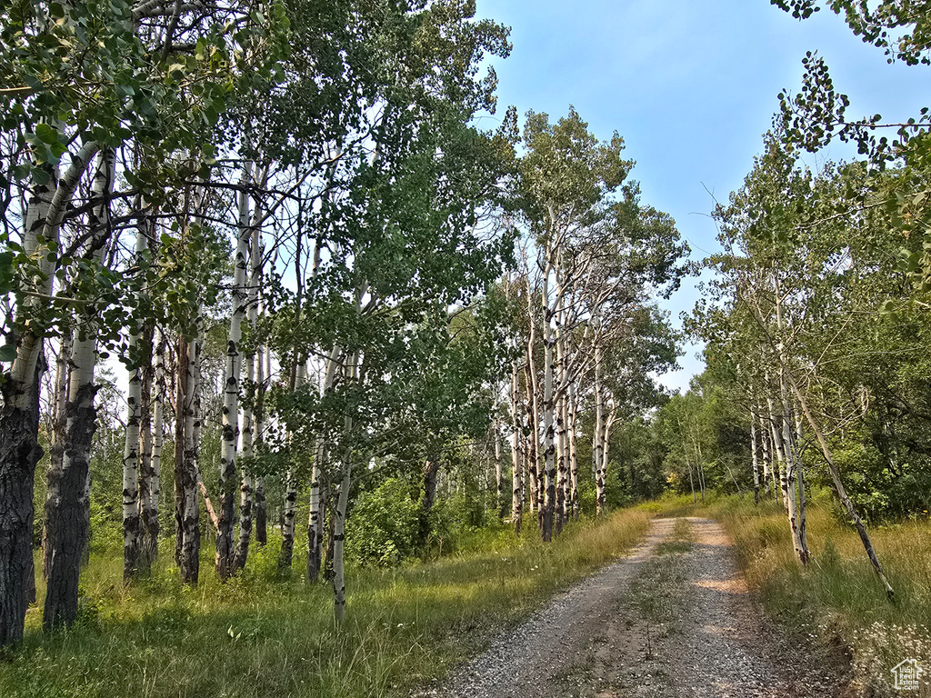 Photo 26 for MLS #2104722 at 725 E Wolf Hollow Rd