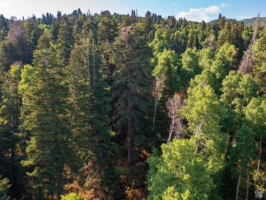 11273 E ASPEN RD Heber City, UT 84032