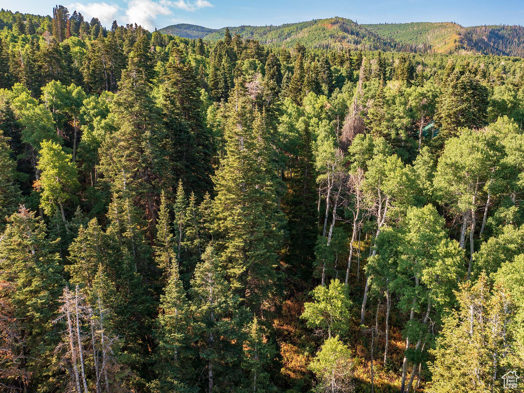 11273 E ASPEN RD Heber City, UT 84032