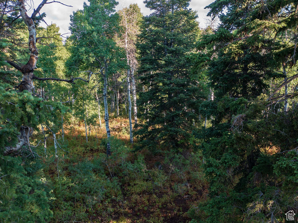 11273 E ASPEN RD Heber City, UT 84032