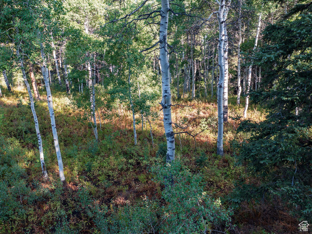 11273 E ASPEN RD Heber City, UT 84032