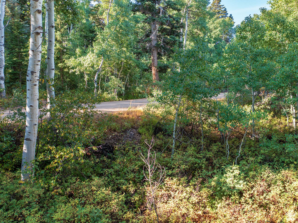 11273 E ASPEN RD Heber City, UT 84032