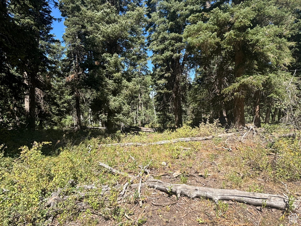 11273 E ASPEN RD Heber City, UT 84032