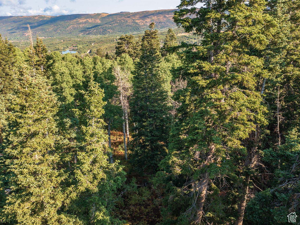 11273 E ASPEN RD Heber City, UT 84032