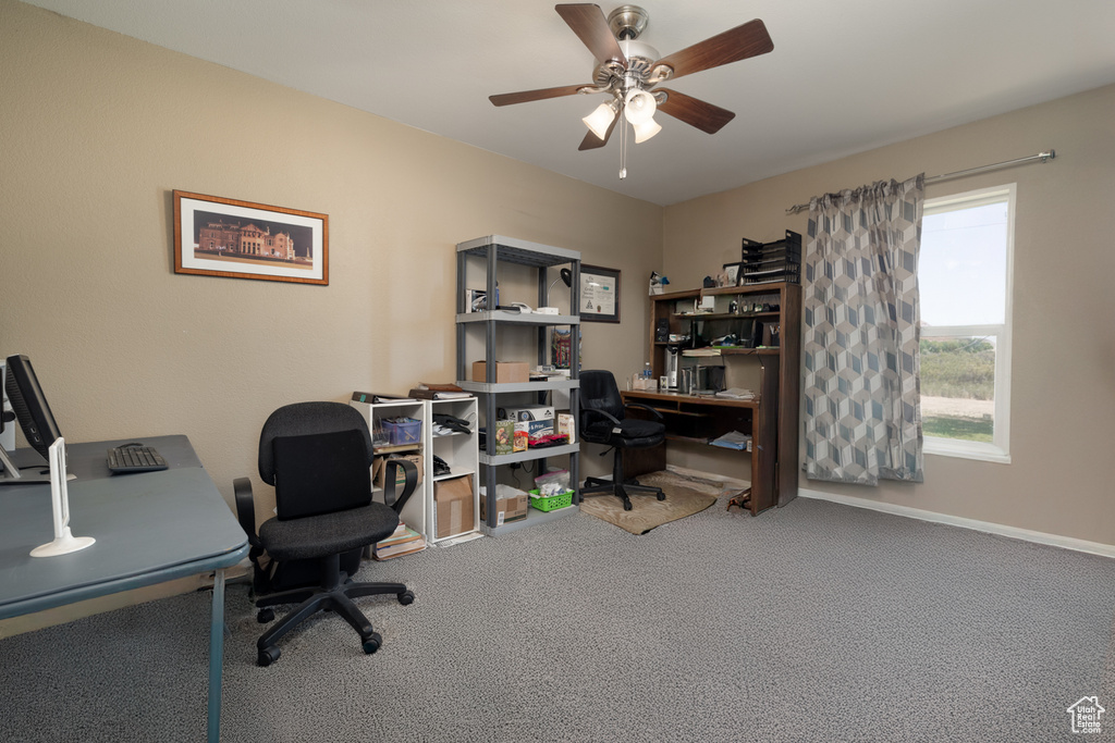 4622 S 10400 E Randlett, UT 84063