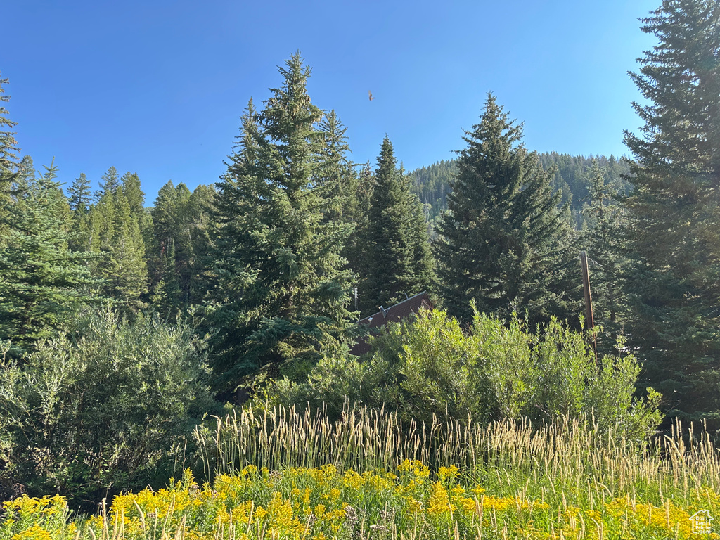 6811 PINE SPRINGS RD Woodland, UT 84036