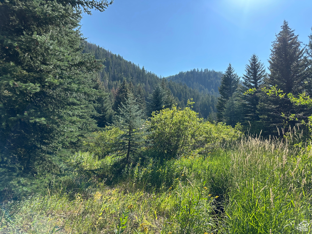 6811 PINE SPRINGS RD Woodland, UT 84036