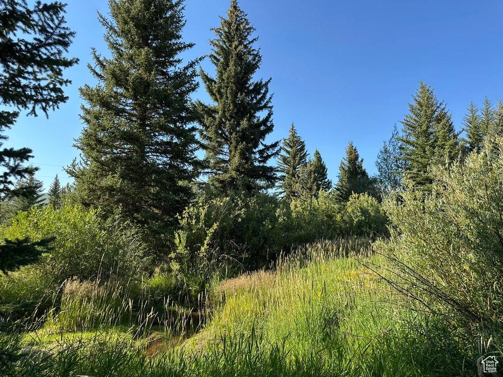 6811 PINE SPRINGS RD Woodland, UT 84036