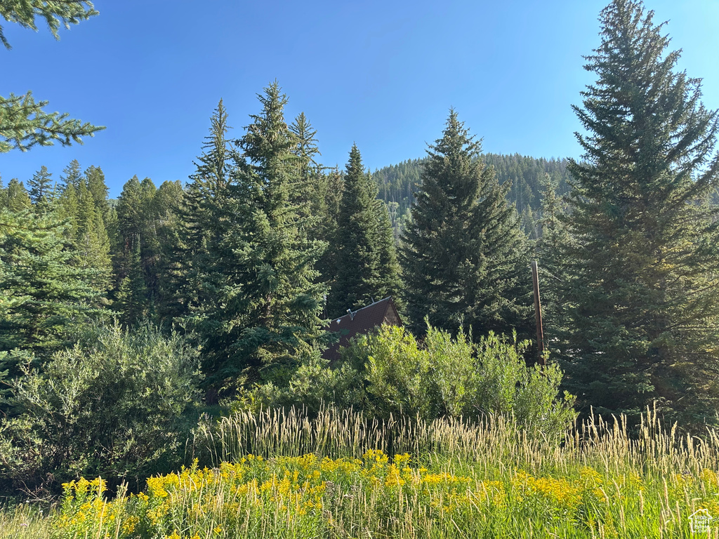 6811 PINE SPRINGS RD Woodland, UT 84036