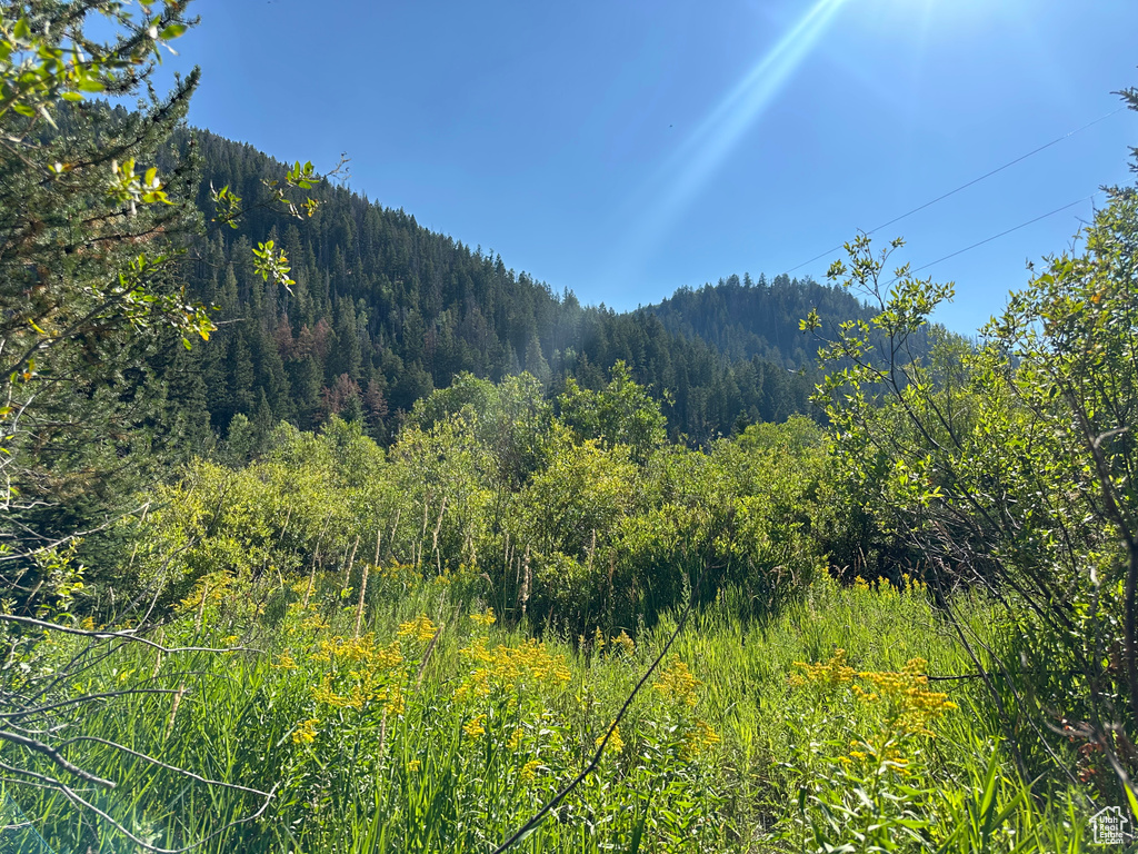 6811 PINE SPRINGS RD Woodland, UT 84036