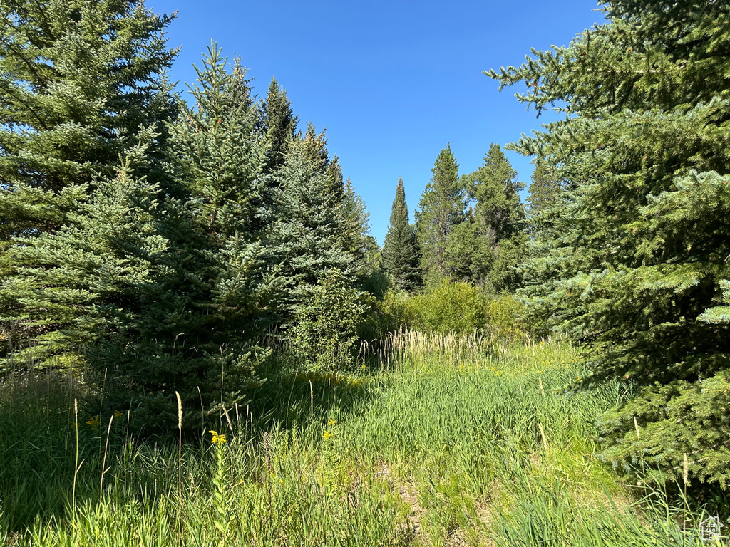 6811 PINE SPRINGS RD Woodland, UT 84036
