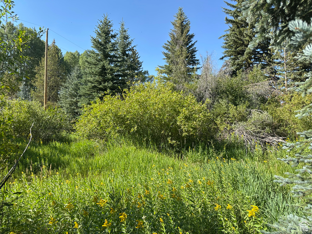 6811 PINE SPRINGS RD Woodland, UT 84036