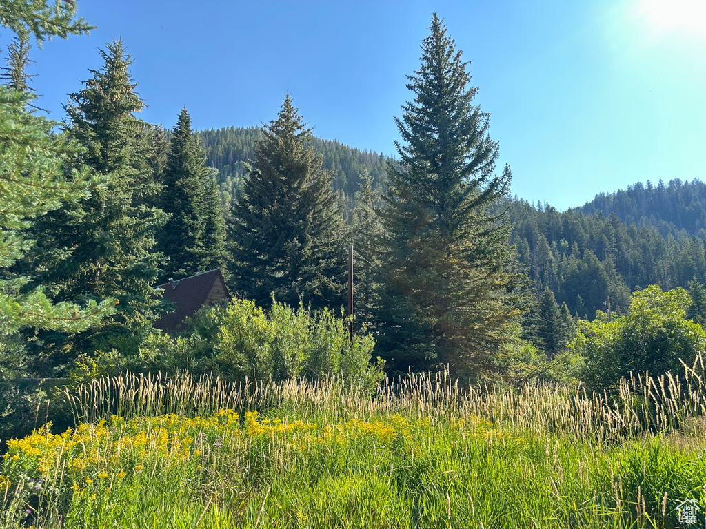 6811 PINE SPRINGS RD Woodland, UT 84036