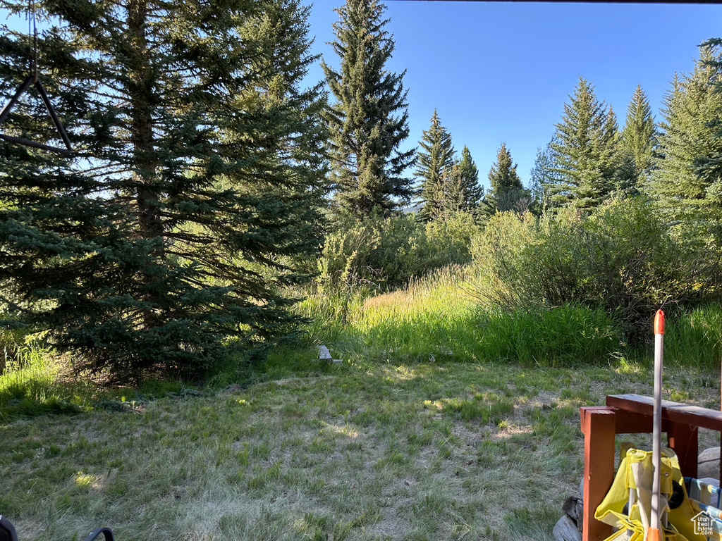 6811 PINE SPRINGS RD Woodland, UT 84036