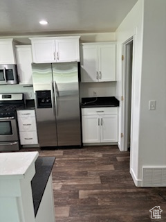 107 E ASHGROVE LN Saratoga Springs, UT 84045