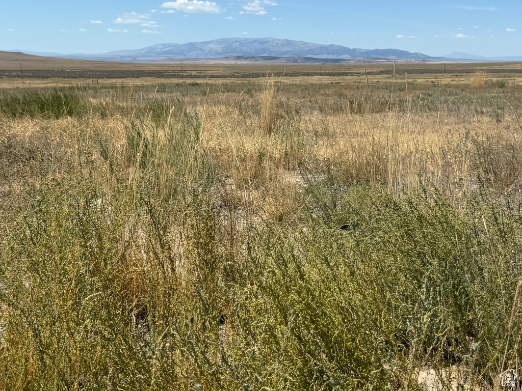  Snowville, UT 84336