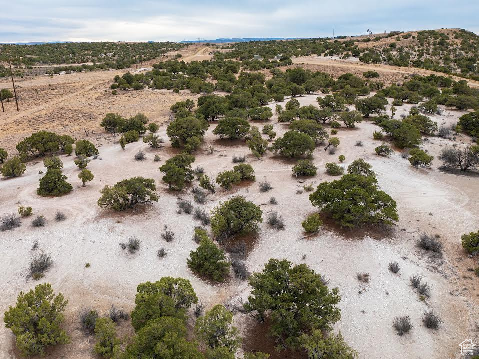 Photo 15 for MLS #2104837 at 14183 S High Mesa Loop
