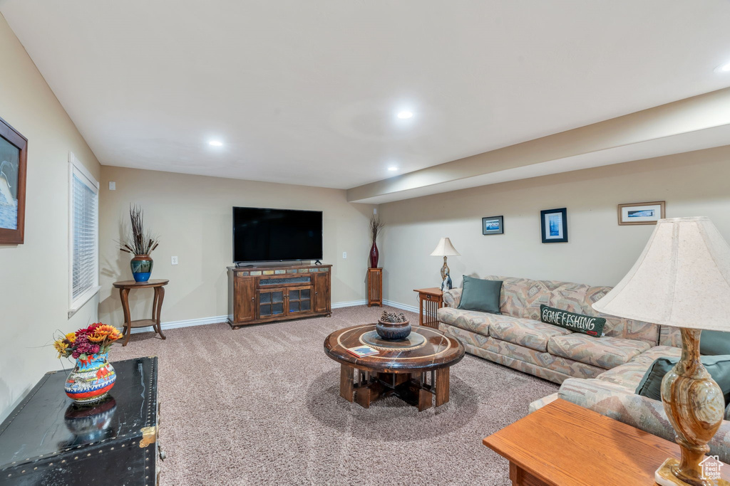 Photo 31 for MLS #2104847 at 13932 S Emmeline Dr