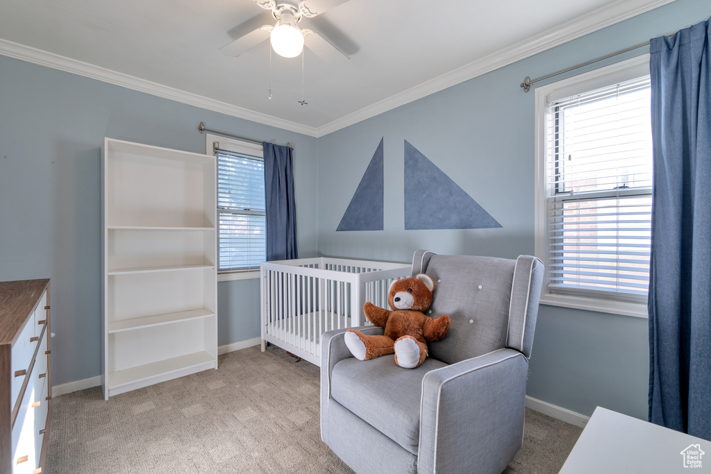 Photo 12 for MLS #2104859 at 1451 24th St