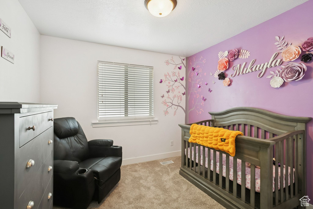 Photo 17 for MLS #2104904 at 13269 S Meadowside Dr