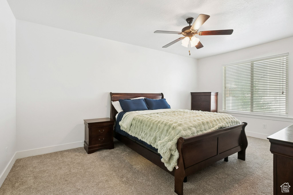 Photo 13 for MLS #2104904 at 13269 S Meadowside Dr