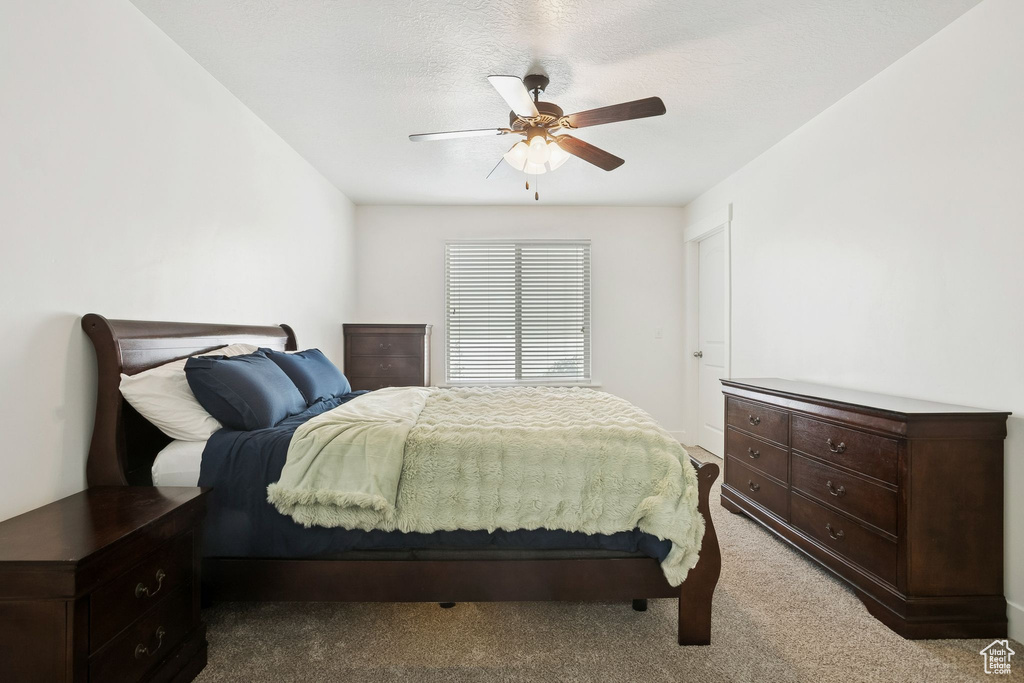Photo 14 for MLS #2104904 at 13269 S Meadowside Dr