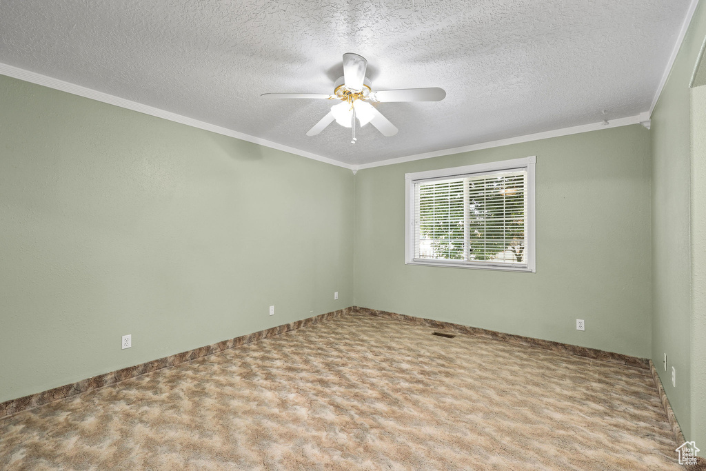 Photo 14 for MLS #2104946 at 596 Eagle Dr