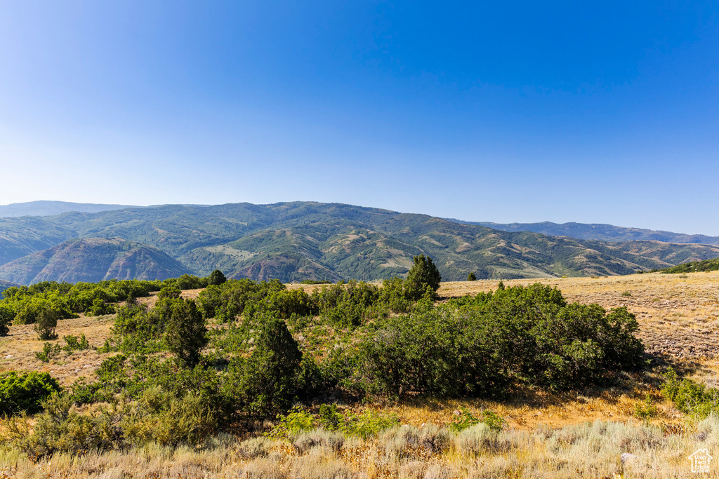 3344 N OAK CANYON RD Huntsville, UT 84317