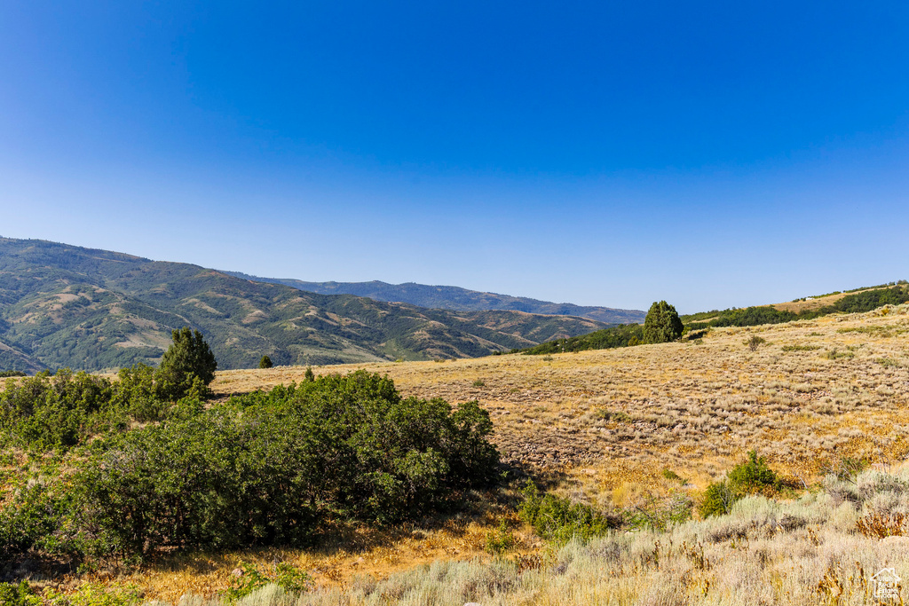 3344 N OAK CANYON RD Huntsville, UT 84317