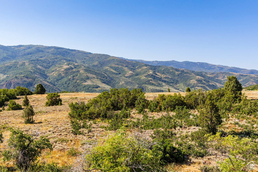 3344 N OAK CANYON RD Huntsville, UT 84317