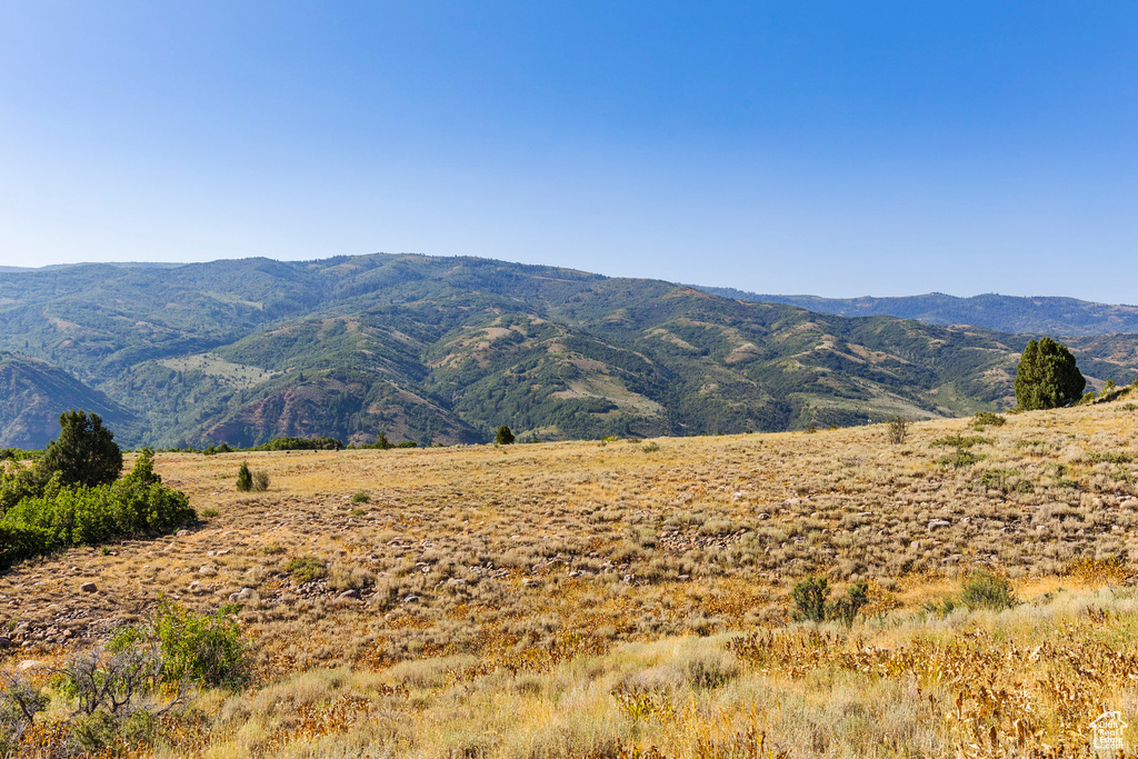 3344 N OAK CANYON RD Huntsville, UT 84317