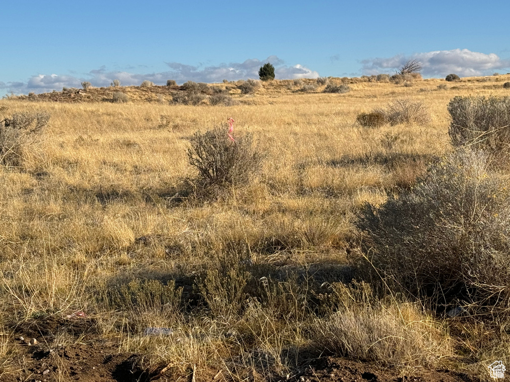 1000 S FOOTHILL BLVD Delta, UT 84624