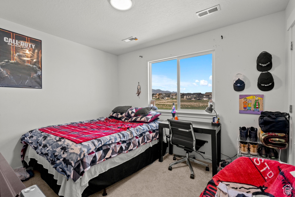 Photo 20 for MLS #2104971 at 13887 S Wide Ridge Way