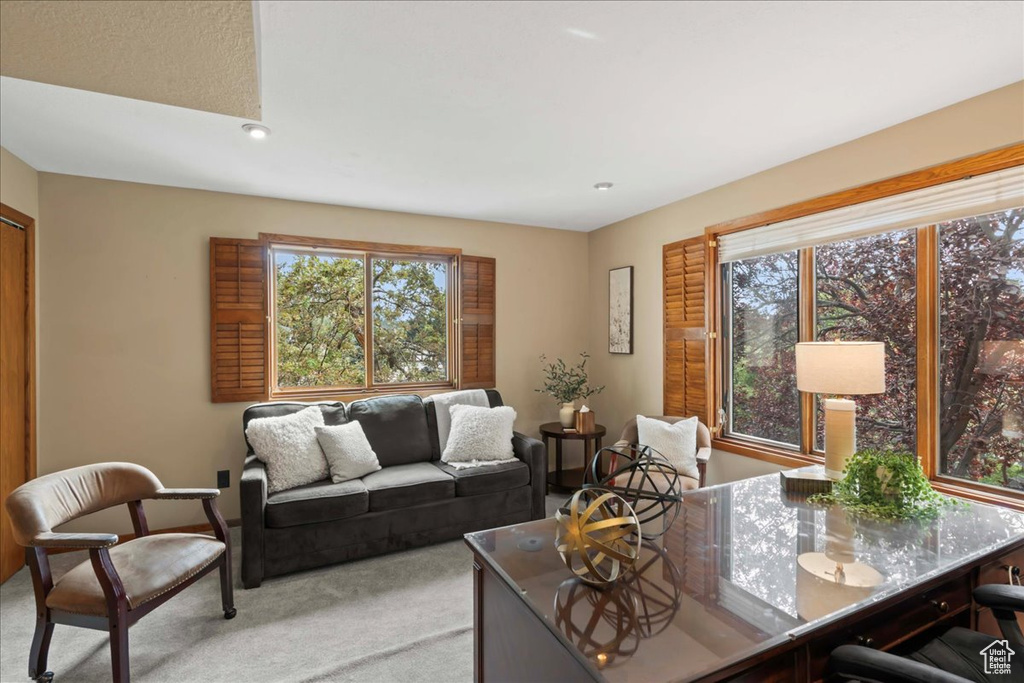 Photo 11 for MLS #2104981 at 3376 E Daneborg Dr