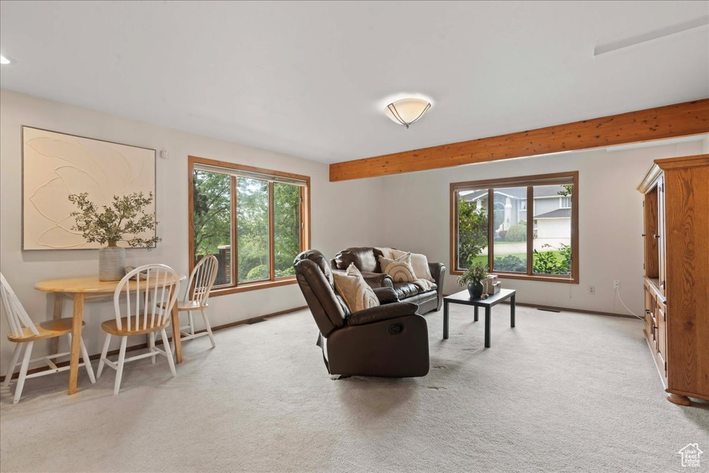 Photo 32 for MLS #2104981 at 3376 E Daneborg Dr