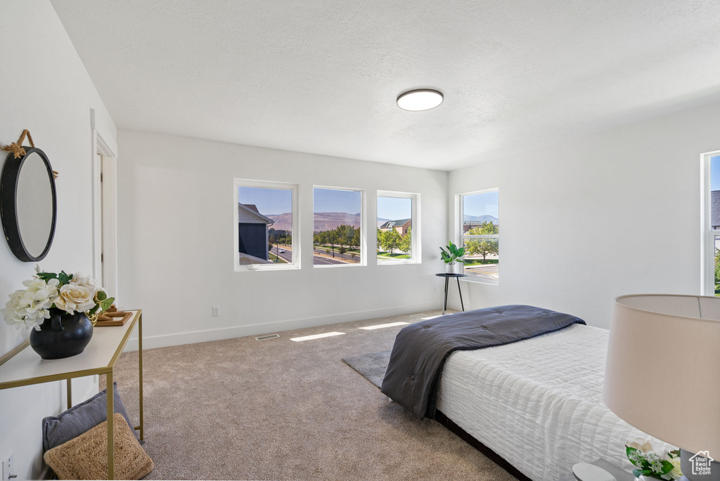 Photo 17 for MLS #2105012 at 13029 S Old Pine Ct