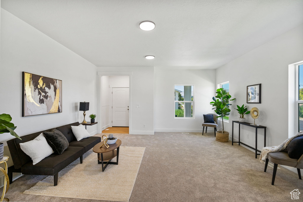 Photo 6 for MLS #2105012 at 13029 S Old Pine Ct