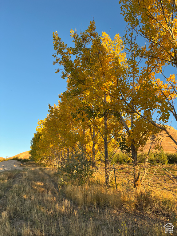 SHOREVIEW LN Spanish Fork, UT 84660