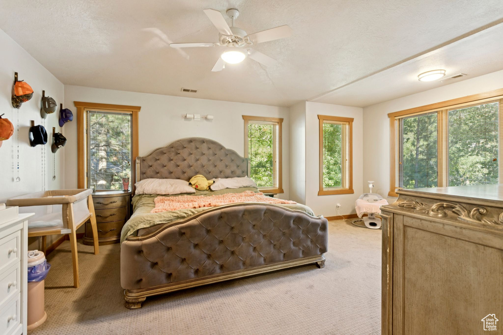 Photo 39 for MLS #2105050 at 2614 E Tuxedo Cir