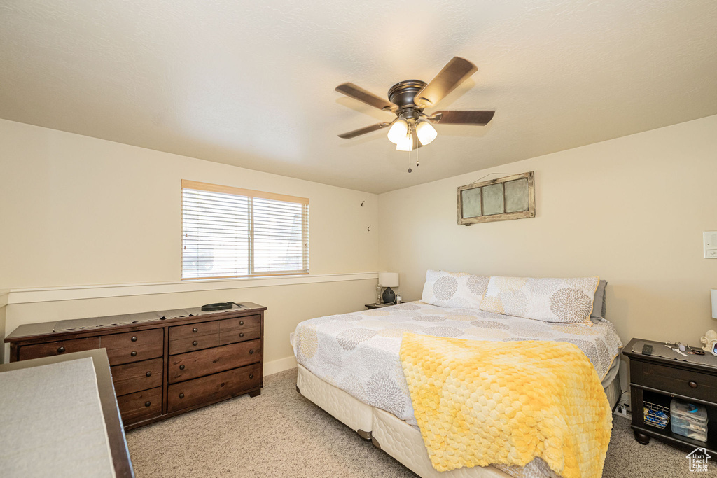 Photo 43 for MLS #2105062 at 5071 W 4175 South