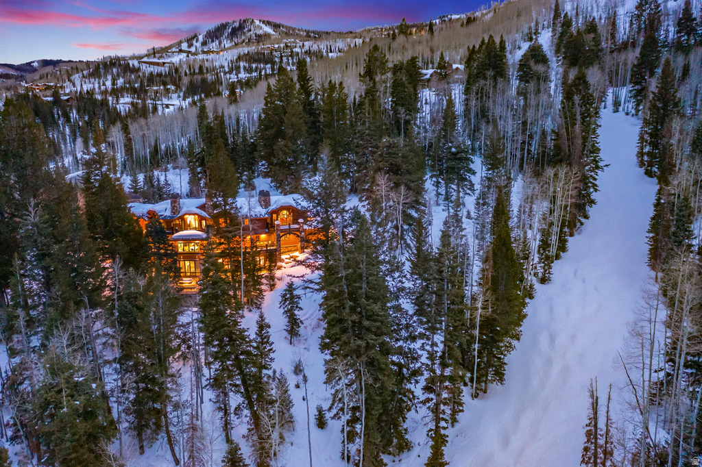 22 WHITE PINE CANYON RD Park City, UT 84060