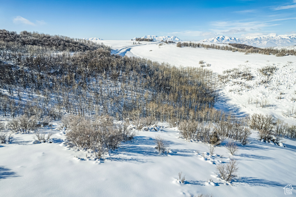 8427 E ASPEN RD Heber City, UT 84032